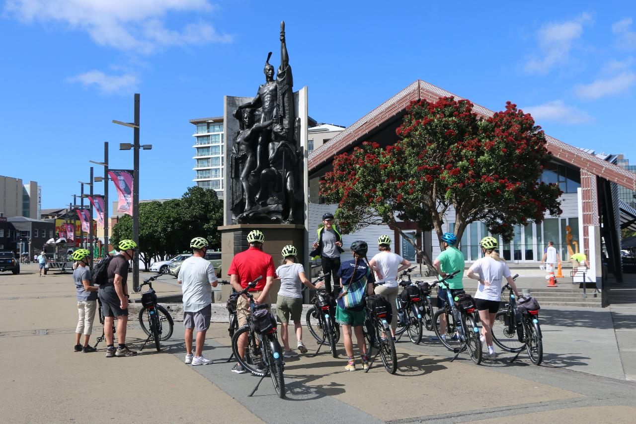 Electric Bays Tour - Guided Electric Bike Tour in Wellington (3-4 hours) - Photo 1 of 13